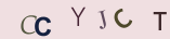 Captcha letters and numbers